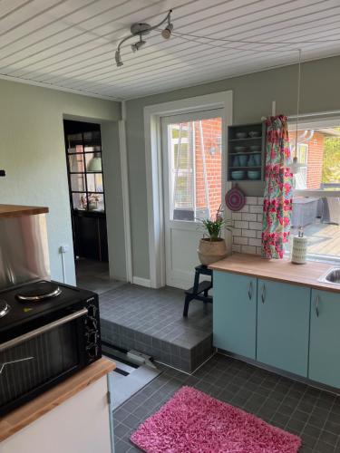 a kitchen with blue cabinets and a pink rug at Bøllingsø Bed and Breakfast in Engesvang