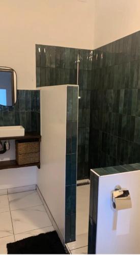 W łazience znajduje się prysznic ze szklanymi drzwiami. w obiekcie Chambre Au clos des auges w mieście Saint-Saturnin-du-Bois