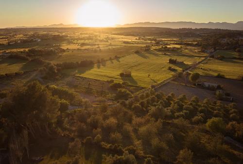 an aerial view of a field at sunset at Es Figueral Nou Hotel Rural & Spa - Adults Only - Over 12 in Montuiri