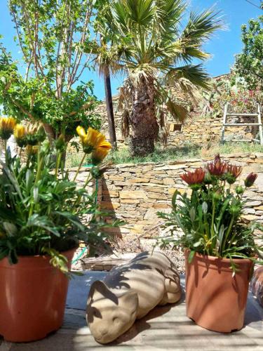 a group of plants in pots on a patio at Villa Art Natalie two in Kithnos