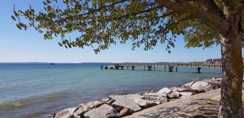 a pier on the water with rocks and a tree at Ferienwohnung Feuerstein in Sassnitz