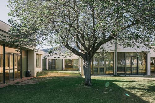 a tree in the grass in front of a building at MClub Alicudi in Sciacca