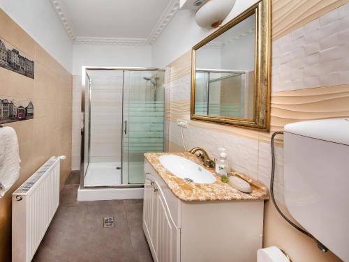 un baño con lavabo y ducha en ZiRa Residence - Authentic rooms in Old Town, en Brasov