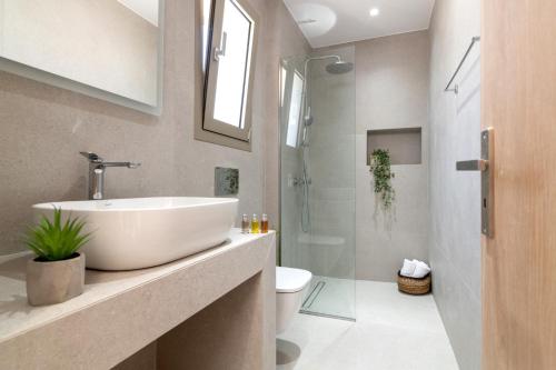 uma casa de banho com um lavatório, um WC e um chuveiro em Villa Almo by Villa Plus em Tsilivi