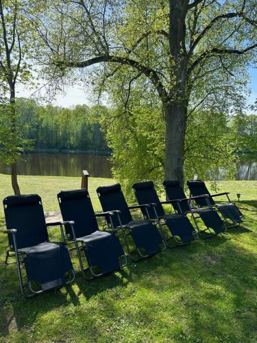 a group of chairs sitting in the grass next to a tree at Baltās anemones in Jumprava