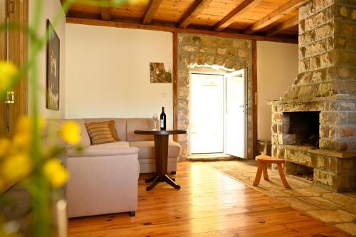 ein Wohnzimmer mit einem Sofa und einem Kamin in der Unterkunft Martina in Cetinje