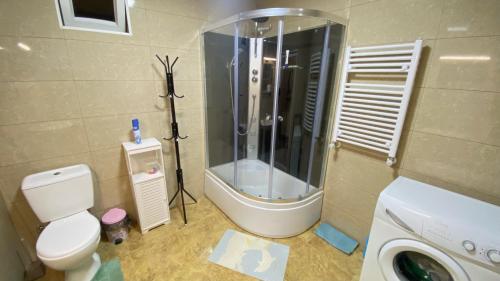 uma casa de banho com um chuveiro, um WC e um lavatório. em Nadia & Minadora em Telavi