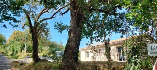a house with trees in front of it at Villa Puycelsienne in Les Barrières