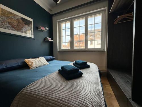 um quarto com uma cama com duas almofadas em L'Arsenal - Appartement Centre ville - Poche commerces & restaurant - 6 P em Sélestat