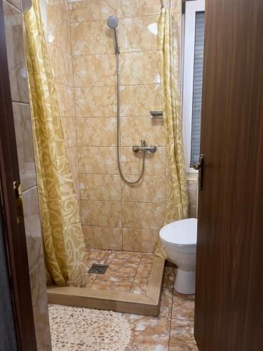 een badkamer met een douche en een toilet bij Hotel Окремий Будинок-Апартаменти in Rakoshyno