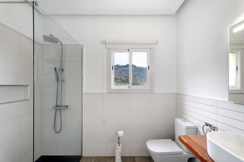 uma casa de banho com um chuveiro, um WC e um lavatório. em Charming and comfortable apartment Casa Lomo El Aire Helecho em Tegueste