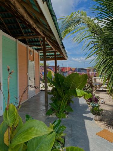 a patio with plants in front of a building at Jambiani Backpackers Hostel in Jambiani