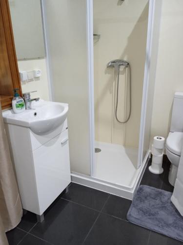 a bathroom with a shower and a sink and a toilet at Porto Cruz House in Vila Nova de Gaia