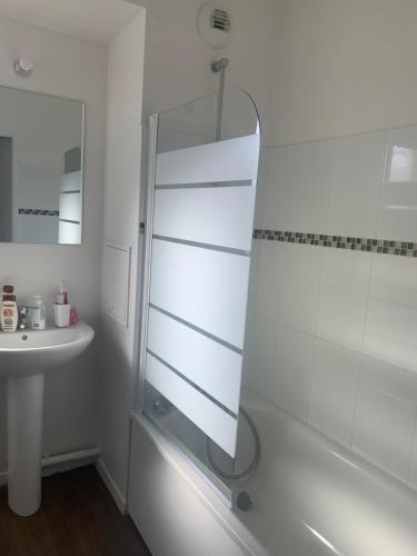 een badkamer met een douche en een wastafel bij Appartement Cosy proche aéroport CDG ROISSY in Garges-lès-Gonesse