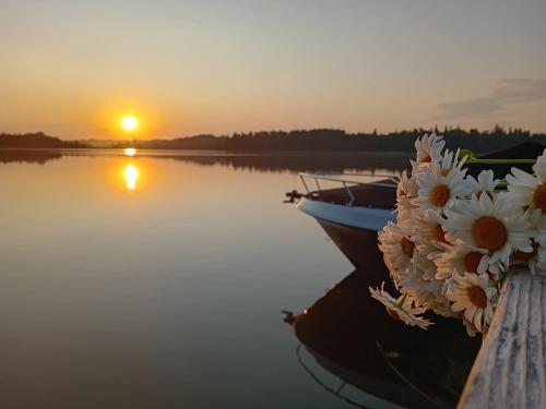 a boat with flowers on a dock with the sunset at Atpūtas vieta Ežezers in Andzeļi