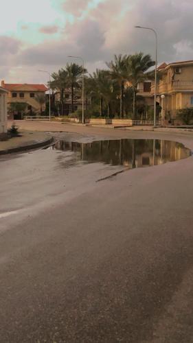 eine große Pfütze Wasser auf einer Straße mit Palmen in der Unterkunft شقة بدمياط الجديدة مناطق هادئة in Dumyat al Jadidah