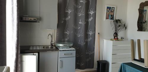 - une cuisine avec un lavabo et un rideau de douche dans l'établissement Appt T1 meublé-Juan les Pins-Logt6, à Antibes