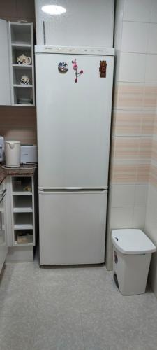 - un réfrigérateur blanc dans la cuisine avec des toilettes dans l'établissement Apartamento Carmen, à Santa Pola