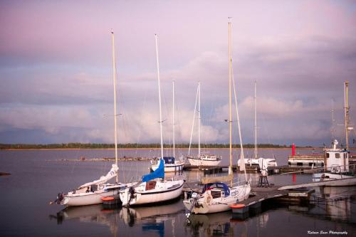 a group of boats docked at a dock in the water at Lõunaranna Harbour Accommodation in Simisti