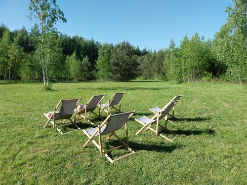 a row of lawn chairs sitting in a field at Domek Chmiel I nad Jeziorem Tarnobrzeskim in Chmielów