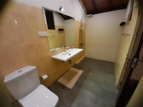 La salle de bains est pourvue de toilettes et d'un lavabo. dans l'établissement Seetharama Garden of Life, à Beruwala