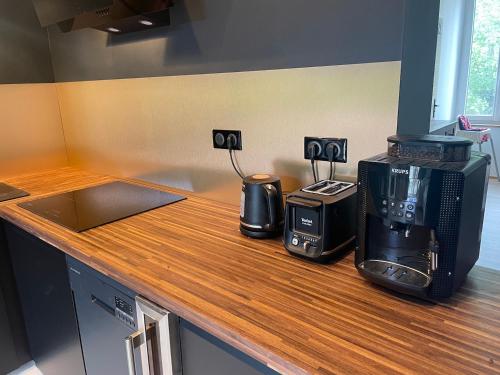 a kitchen counter with a coffee maker and a microwave at Maison de vacances dans le Diois au pied du Vercors avec 2 chambres pour 6 personnes in Menglon