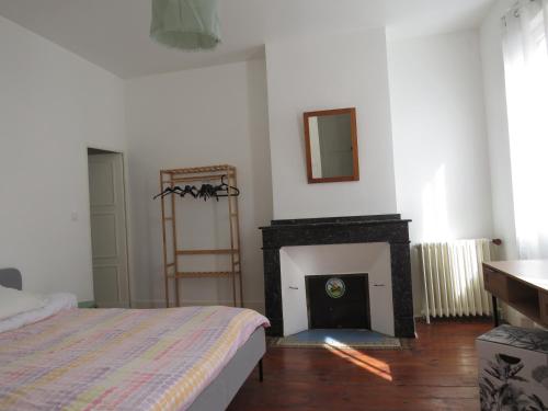 1 dormitorio con chimenea, cama y espejo en la toulousaine de Clô, en Toulouse