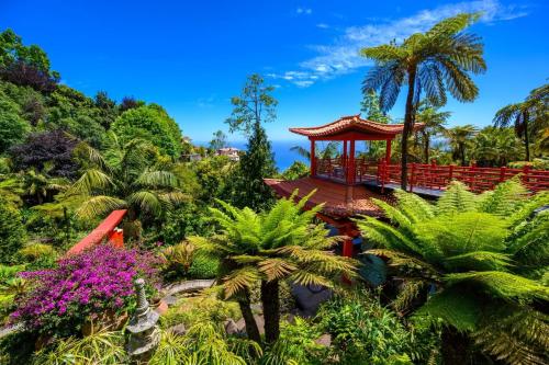 a garden with a gazebo and palm trees at Art Deco Central Apartments, Funchal in Funchal