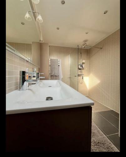 La salle de bains est pourvue d'un grand lavabo blanc et d'une douche. dans l'établissement lumineux havre de paix à 6 minutes de Paris, à Maisons-Alfort