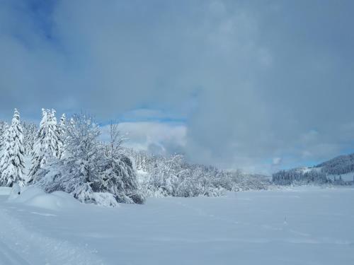 un grupo de árboles cubiertos de nieve junto a un lago en Le Chalet, en Lamoura