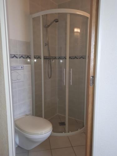 y baño con ducha y aseo. en Le Chalet, en Lamoura