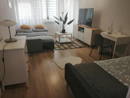 een slaapkamer met 2 bedden, een bureau en een televisie bij Apartament - Classic Olszowa in Włocławek