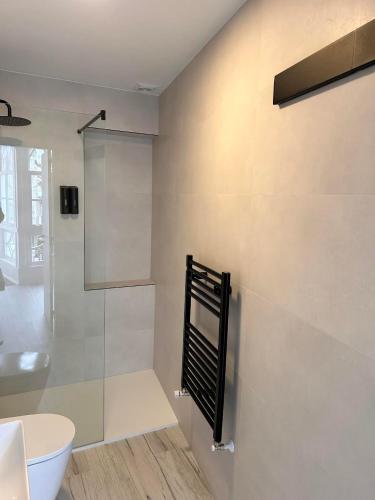 a bathroom with a shower and a toilet and a sink at APARTAMENTOS NADA Ó NORTE Centro in Viveiro