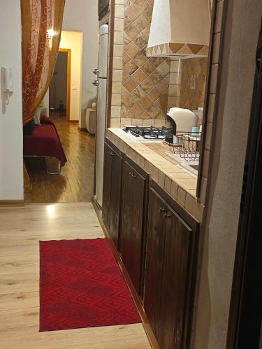 una cucina con bancone e tappeto rosso di CASA MIKY a Palermo