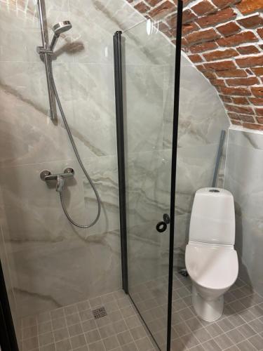a bathroom with a shower with a toilet in it at Hubane apartment Tartu kesklinnas in Tartu