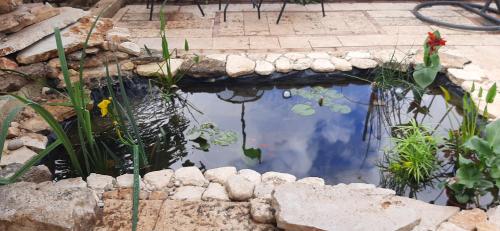 a pond in a garden with a stone wall at Relaxed garden apartment with Galilee sea view 1 in Safed