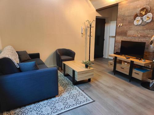 a living room with a blue couch and a tv at Le Coquelicot - Hyper-Centre - Wifi - Calme in Albi