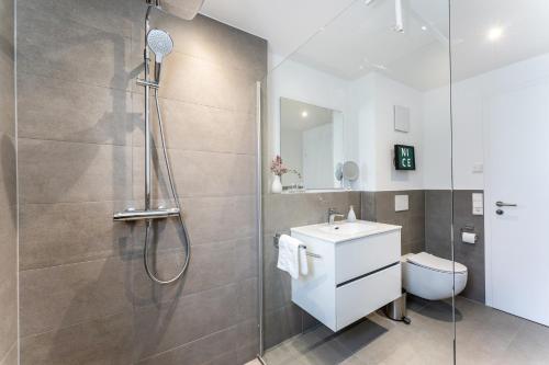 a bathroom with a shower and a sink and a toilet at Luxuswohnung Traumblick - Neubau 2023 in Schluchsee