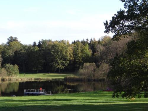 a view of a lake with a boat in the middle at Bernsteinschloss in Wendorf