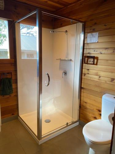 マウント・ブラーにあるNutcracker Ski Clubのトイレ付きのバスルームのガラス製シャワー