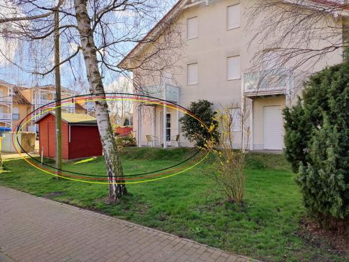 a tree in a yard with a circle on it at Ostsee-Fynn in Graal-Müritz