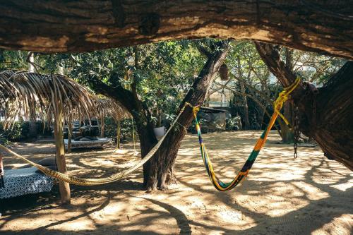 a hammock tied to a tree in a yard at Junto al Rio Bungalows & Suites in Sayulita