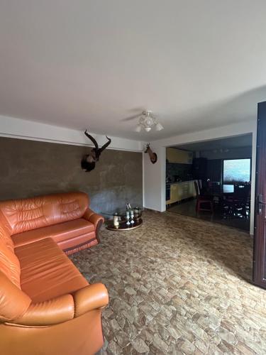a living room with a brown leather couch in a room at Casa Petrișor in Corbi