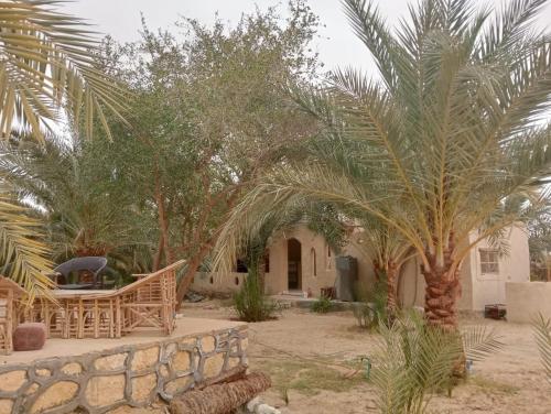 un cortile con palme e un muro di pietra di Paradise Hosting Group Siwa a Siwa