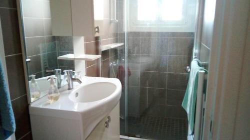 une salle de bain avec un lavabo et une douche dans l'établissement La Berardiere du centre, à Saint-Hilaire-de-Riez