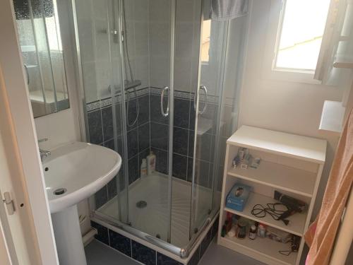 une salle de bain avec douche et lavabo dans l'établissement La Loubine de La Parée, à Bretignolles-sur-Mer