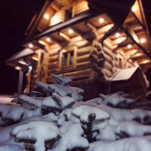 Domek na Wierchu Bukowiny