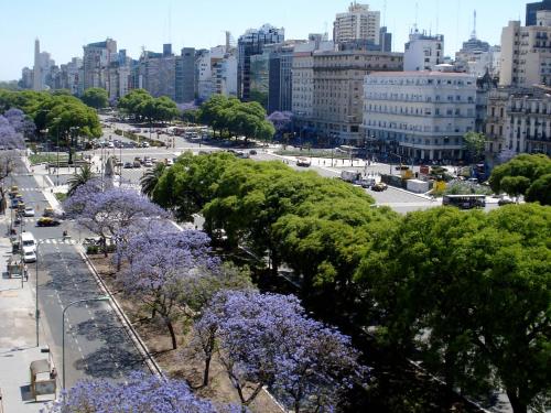 a city with trees with purple flowers on them at HTL 9 de Julio BsAs in Buenos Aires