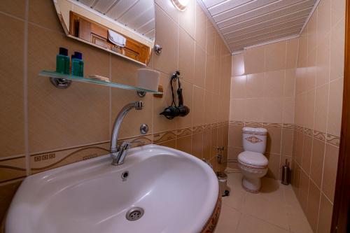 a bathroom with a sink and a toilet at Asyada Suites Hotel in Nevsehir