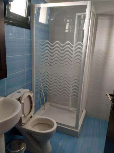 a bathroom with a shower and a toilet at DRYADES in Agios Nikolaos